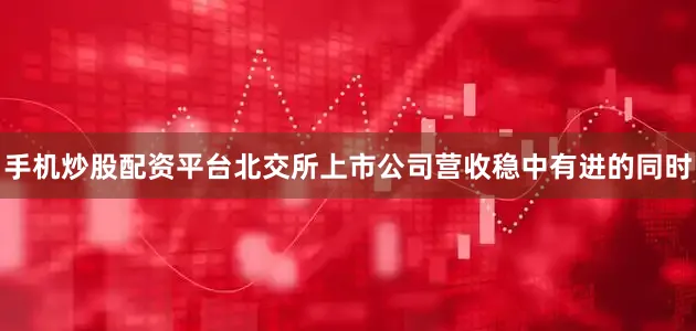 手机炒股配资平台北交所上市公司营收稳中有进的同时