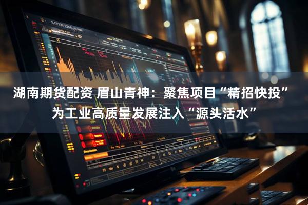 湖南期货配资 眉山青神：聚焦项目“精招快投” 为工业高质量发展注入“源头活水”