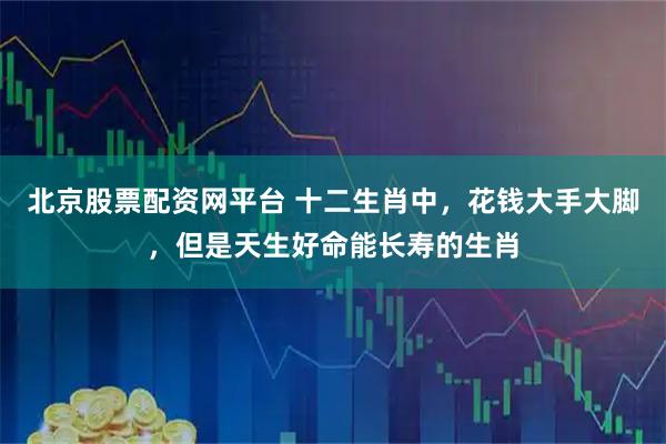 北京股票配资网平台 十二生肖中，花钱大手大脚，但是天生好命能长寿的生肖