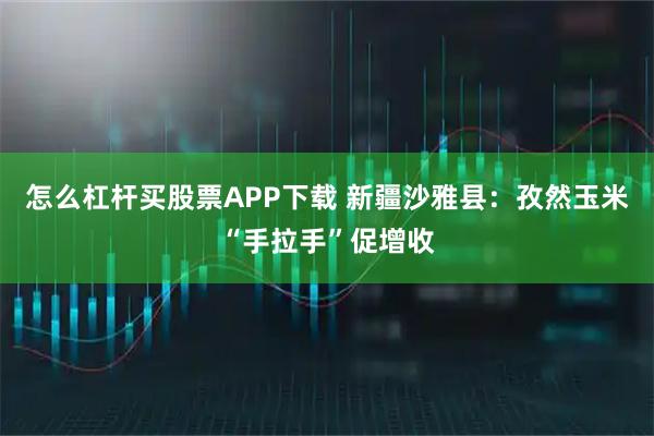 怎么杠杆买股票APP下载 新疆沙雅县：孜然玉米“手拉手”促增收