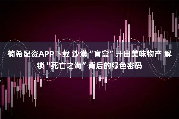 楠希配资APP下载 沙漠“盲盒”开出美味物产 解锁“死亡之海”背后的绿色密码