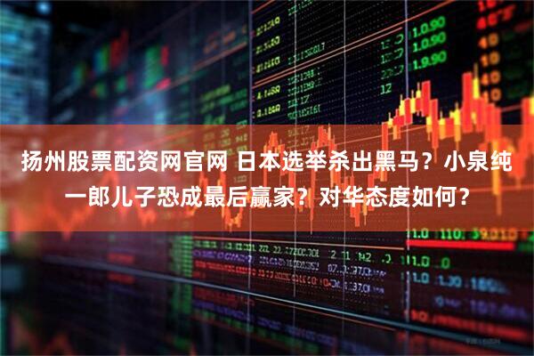 扬州股票配资网官网 日本选举杀出黑马？小泉纯一郎儿子恐成最后赢家？对华态度如何？
