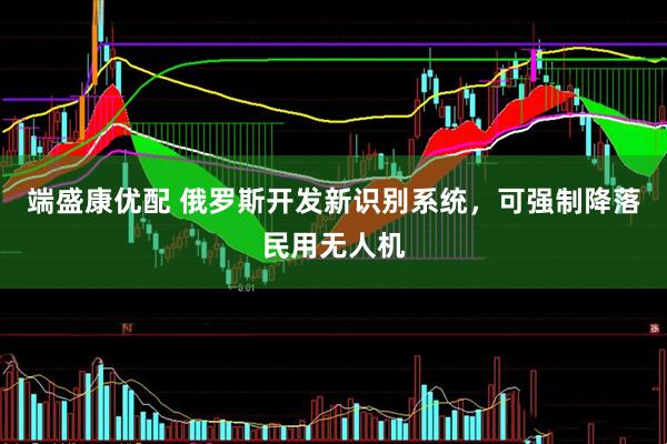 端盛康优配 俄罗斯开发新识别系统，可强制降落民用无人机